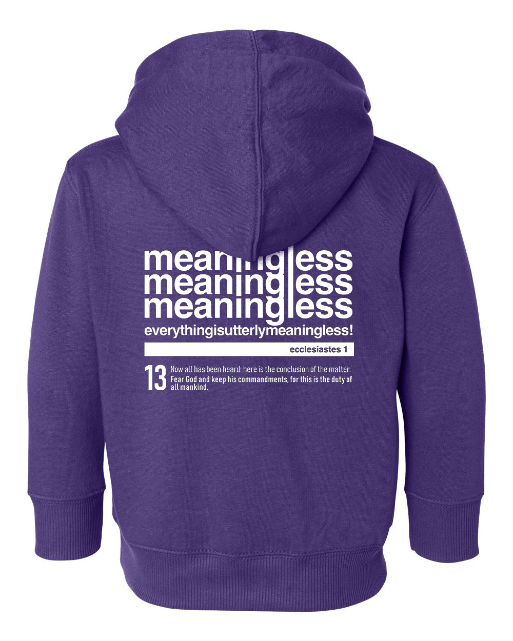Meaningless 3 Toddler Hoodie